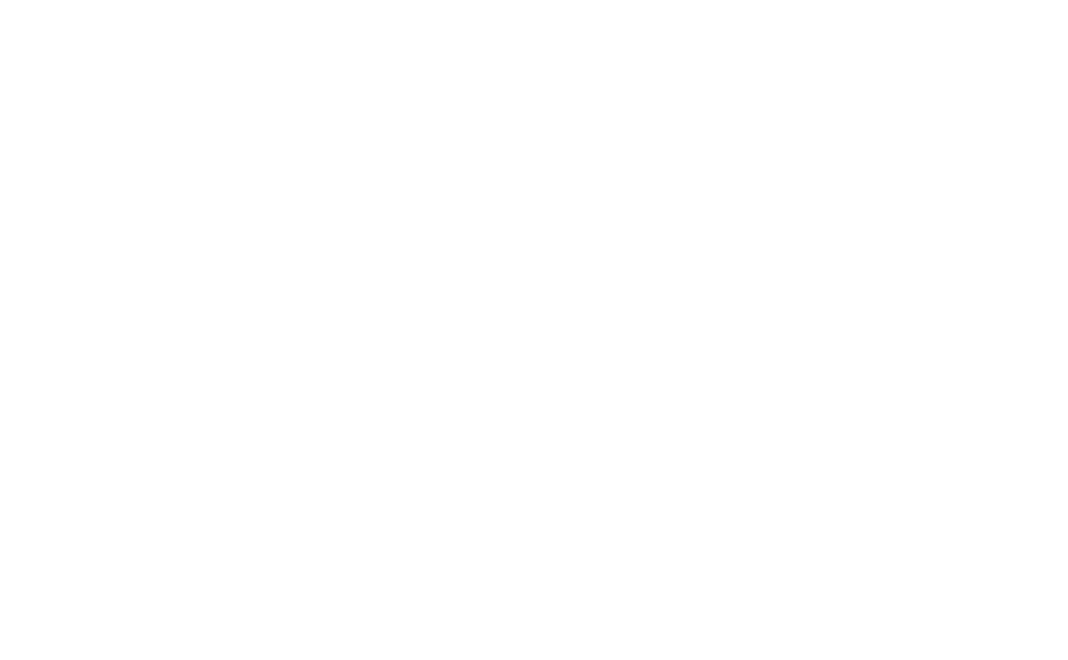 Dumpling Master